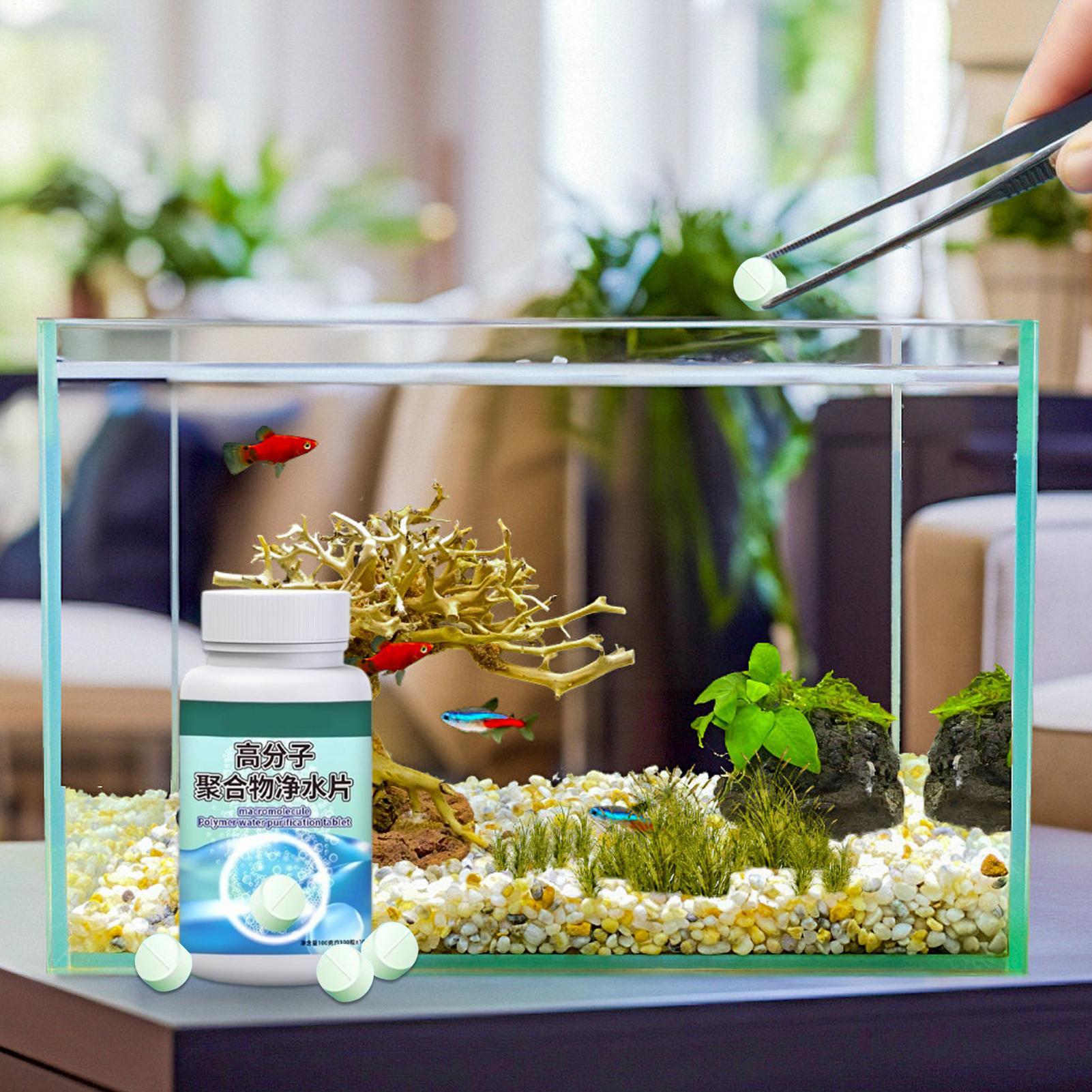 Fish Can Algae Remover Aquariu - Aquarium Fish Home review and price