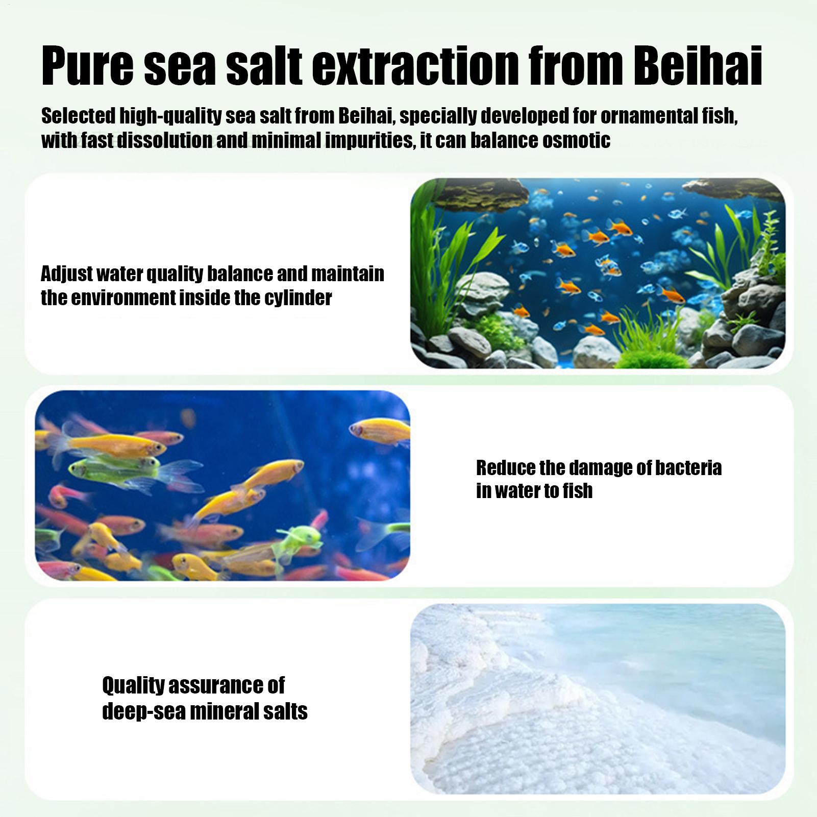 Fish Can Algae Remover Aquariu - Aquarium Fish Home review and price