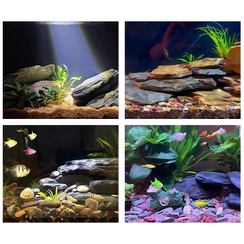 500/1000g Fish Tank Landscape  - Aquarium Fish Fishing review and price