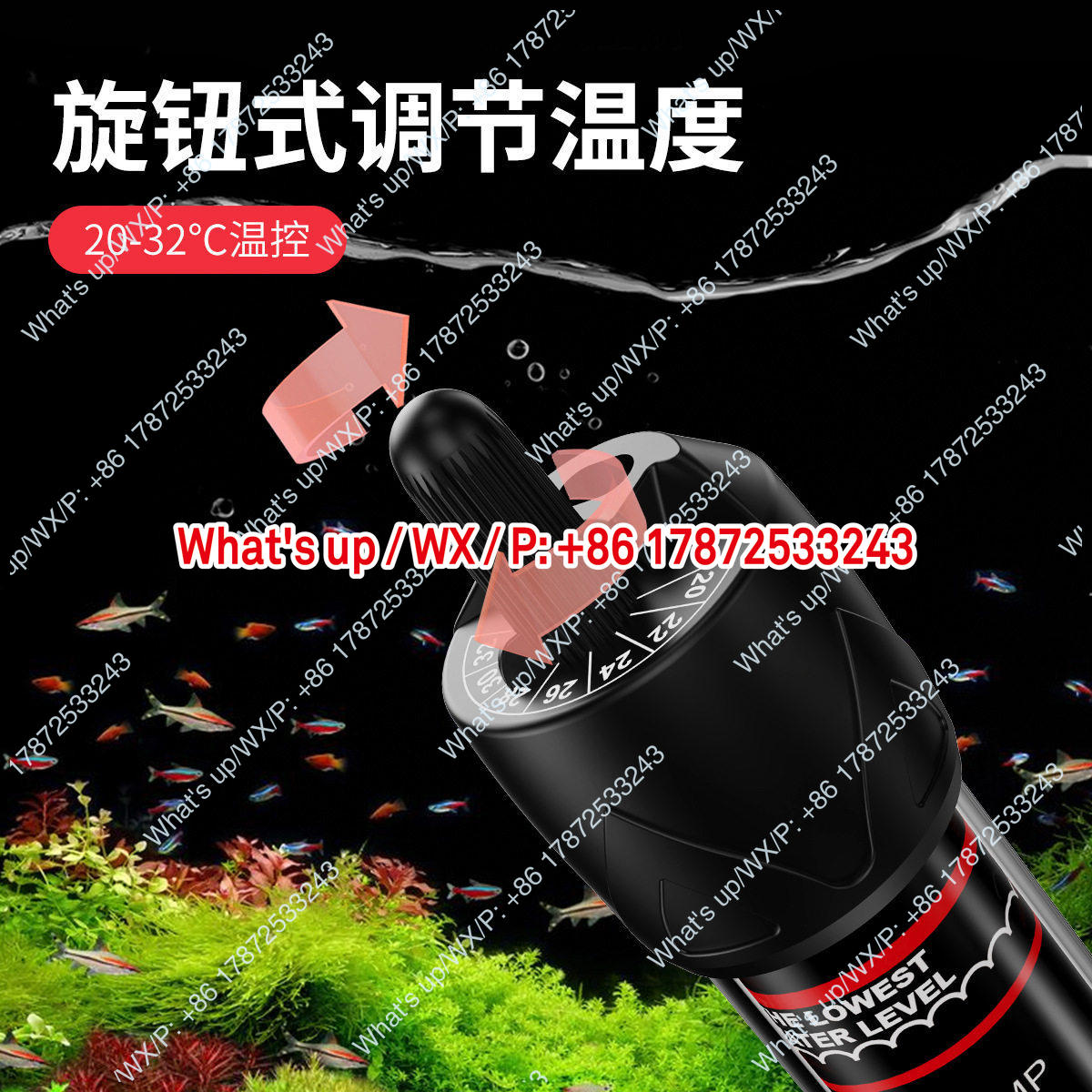 Export foreign trade 110V US s - Aquarium Fish Exporter review and price