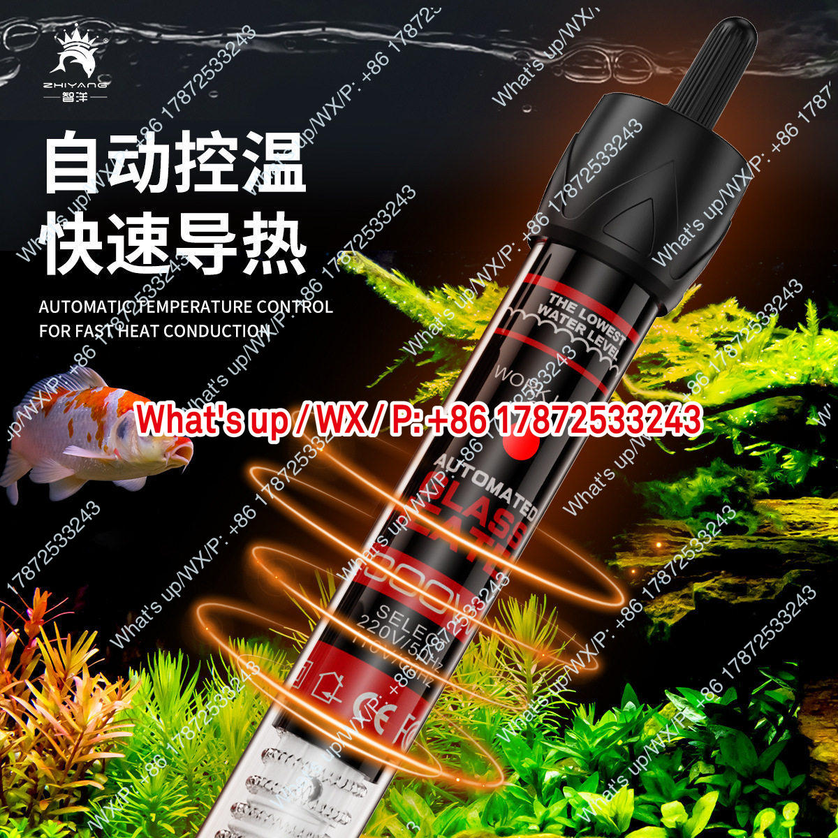 Export foreign trade 110V US s - Aquarium Fish Exporter review and price