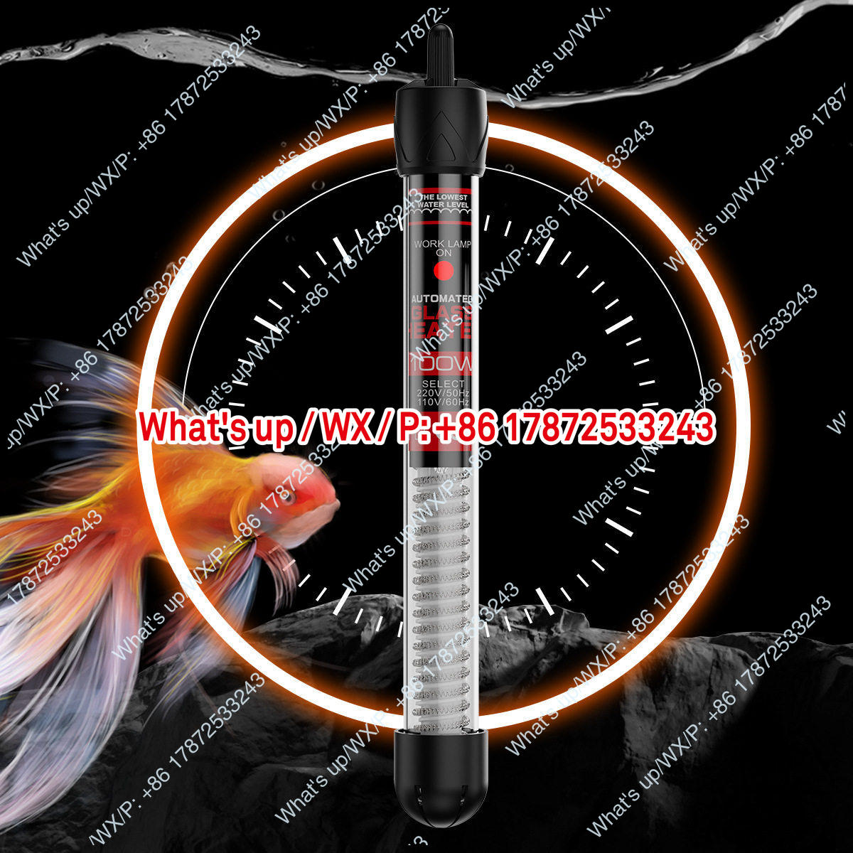 Export foreign trade 110V US s - Aquarium Fish Exporter review and price