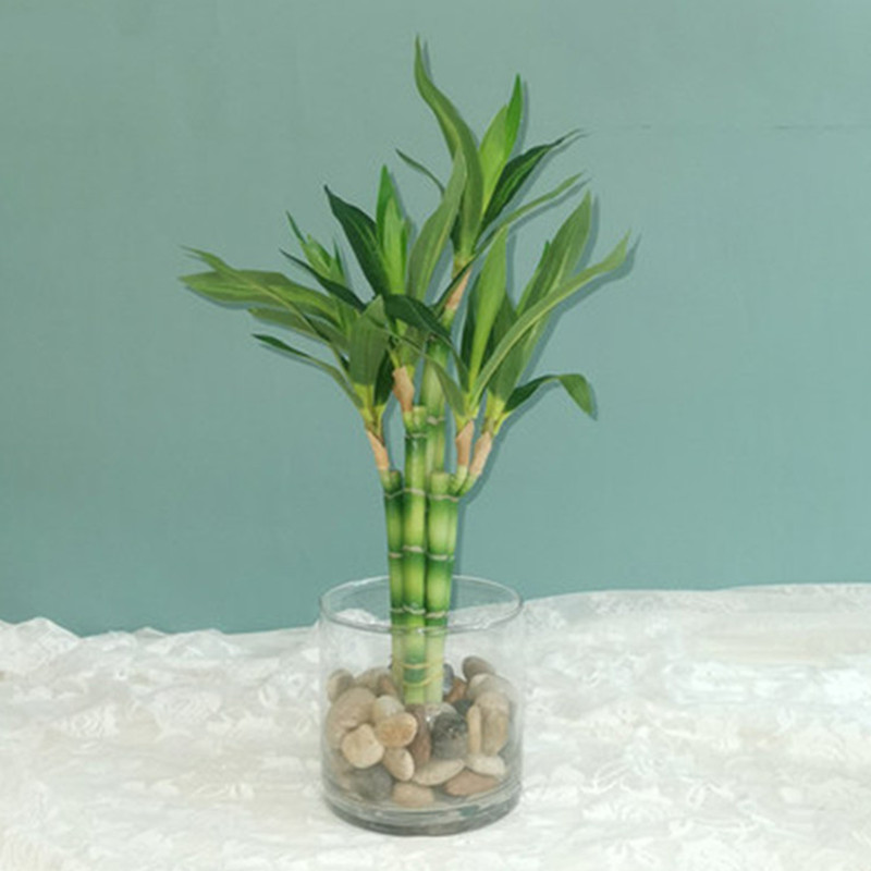 New 40cm Artificial Lucky Bamb - Aquarium Fish Fishing review and price