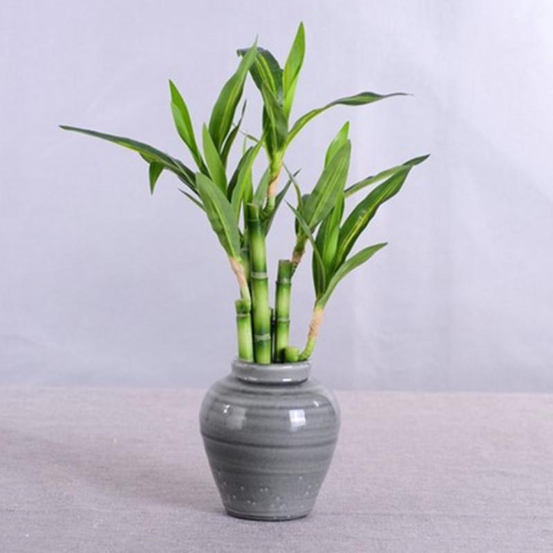 New 40cm Artificial Lucky Bamb - Aquarium Fish Fishing review and price