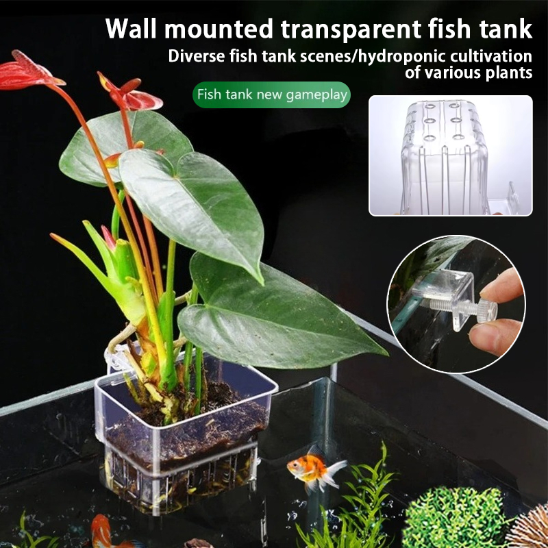 Aquarium Hanging Planter Cups  - Aquarium Fish Land review and price