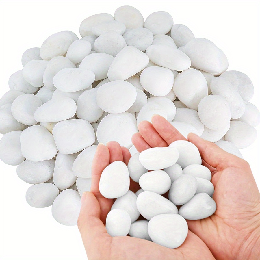 200/400g White High Polished N - Aquarium Fish Fishing review and price