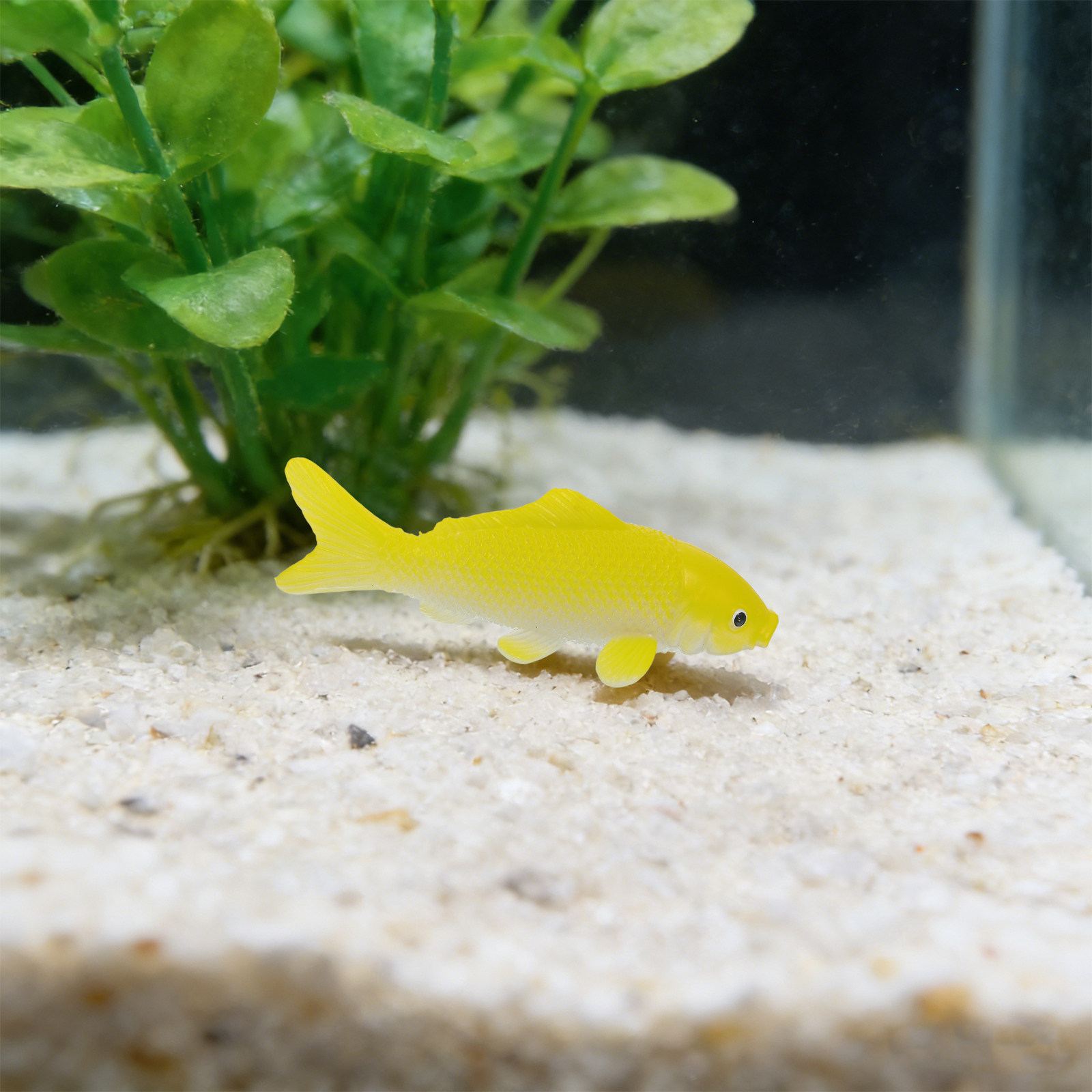 3pcs Fish Crafts Toys Realisti - Aquarium Goldfish review and price