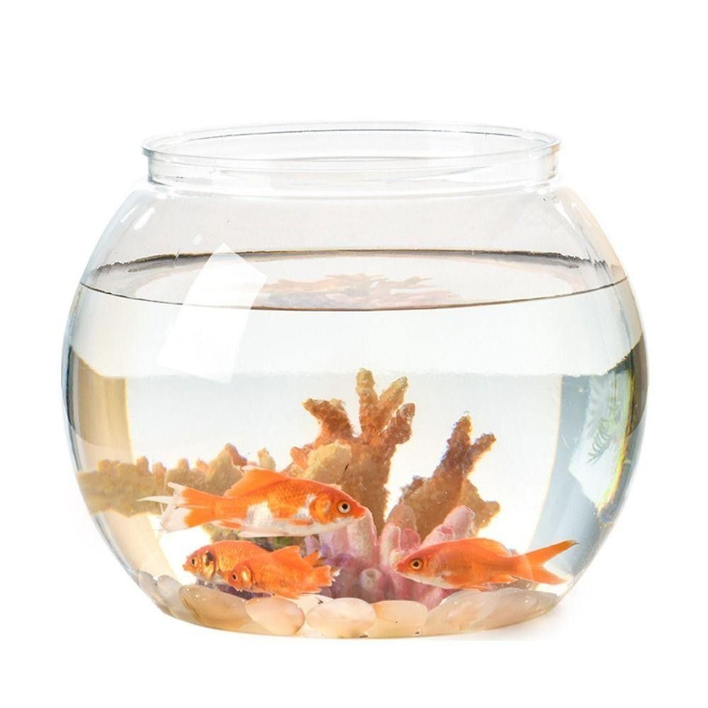 Portable Transparent Fish Tank - Aquarium Goldfish review and price