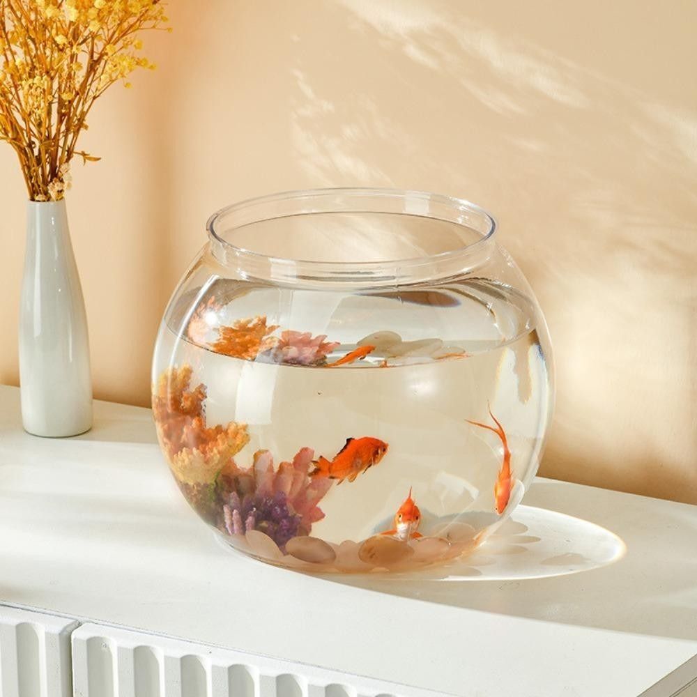 Portable Transparent Fish Tank - Aquarium Goldfish review and price