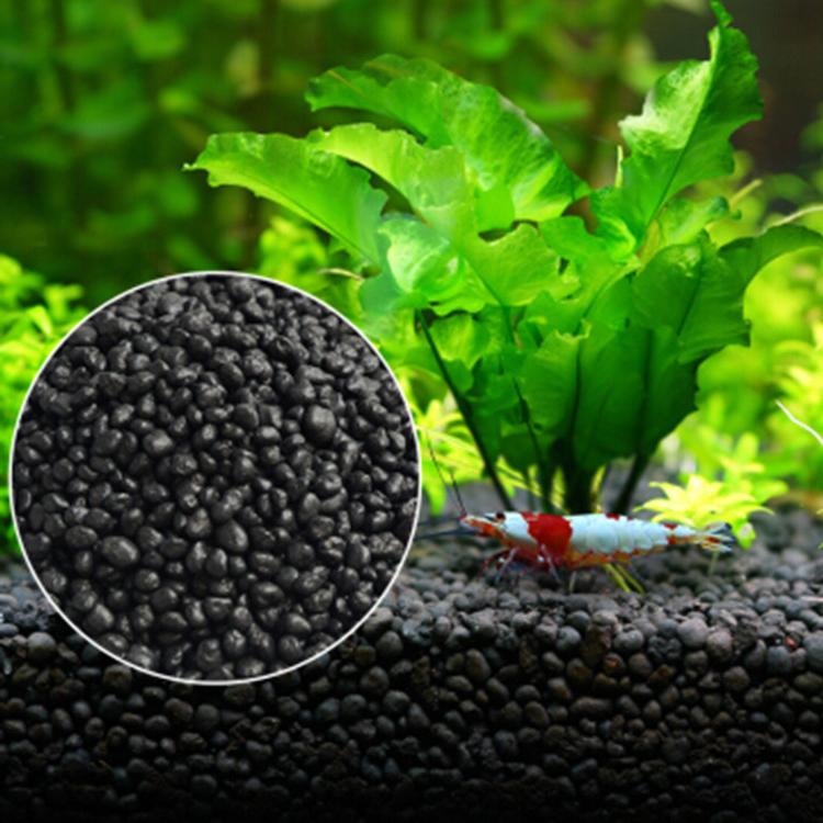 Aquarium Plant Seeds Soil Fish - Aquarium Fish Types review and price