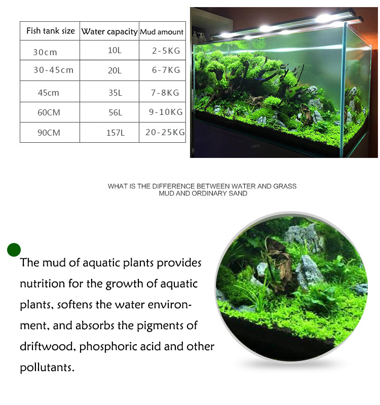 Aquarium Plant Seeds Soil Fish - Aquarium Fish Types review and price
