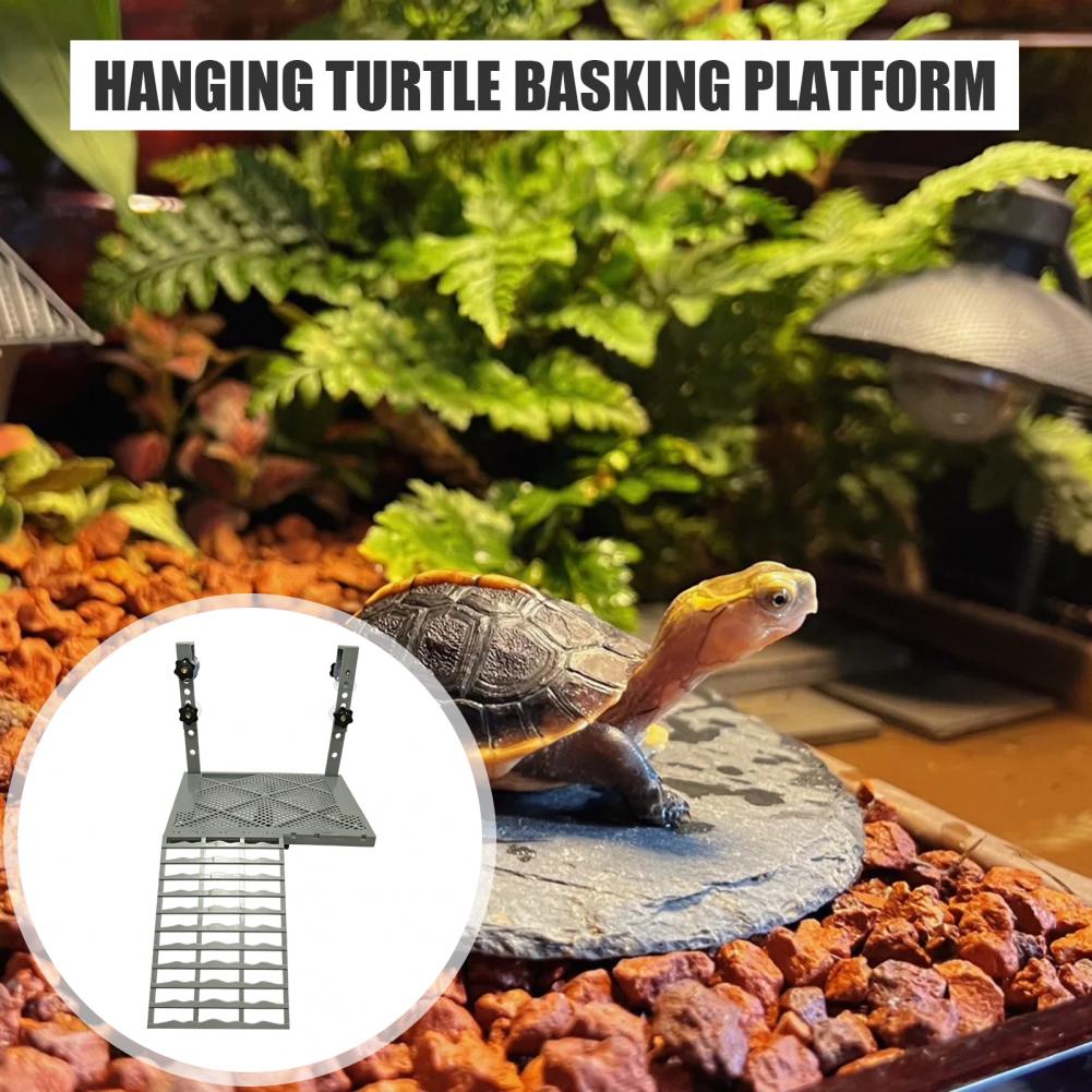 Aquarium Decoration Solid Form - Aquarium Fish Fishing review and price