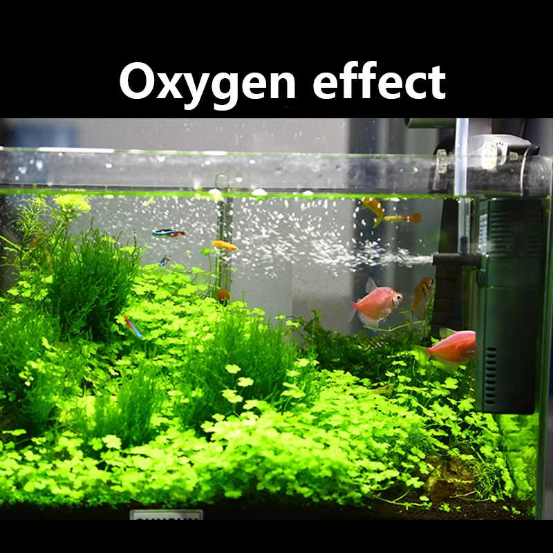 SUNSUN mini nano 111B 311B 611 - Aquarium Fish Land review and price